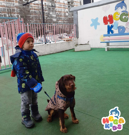 Deca i kućni ljubimci